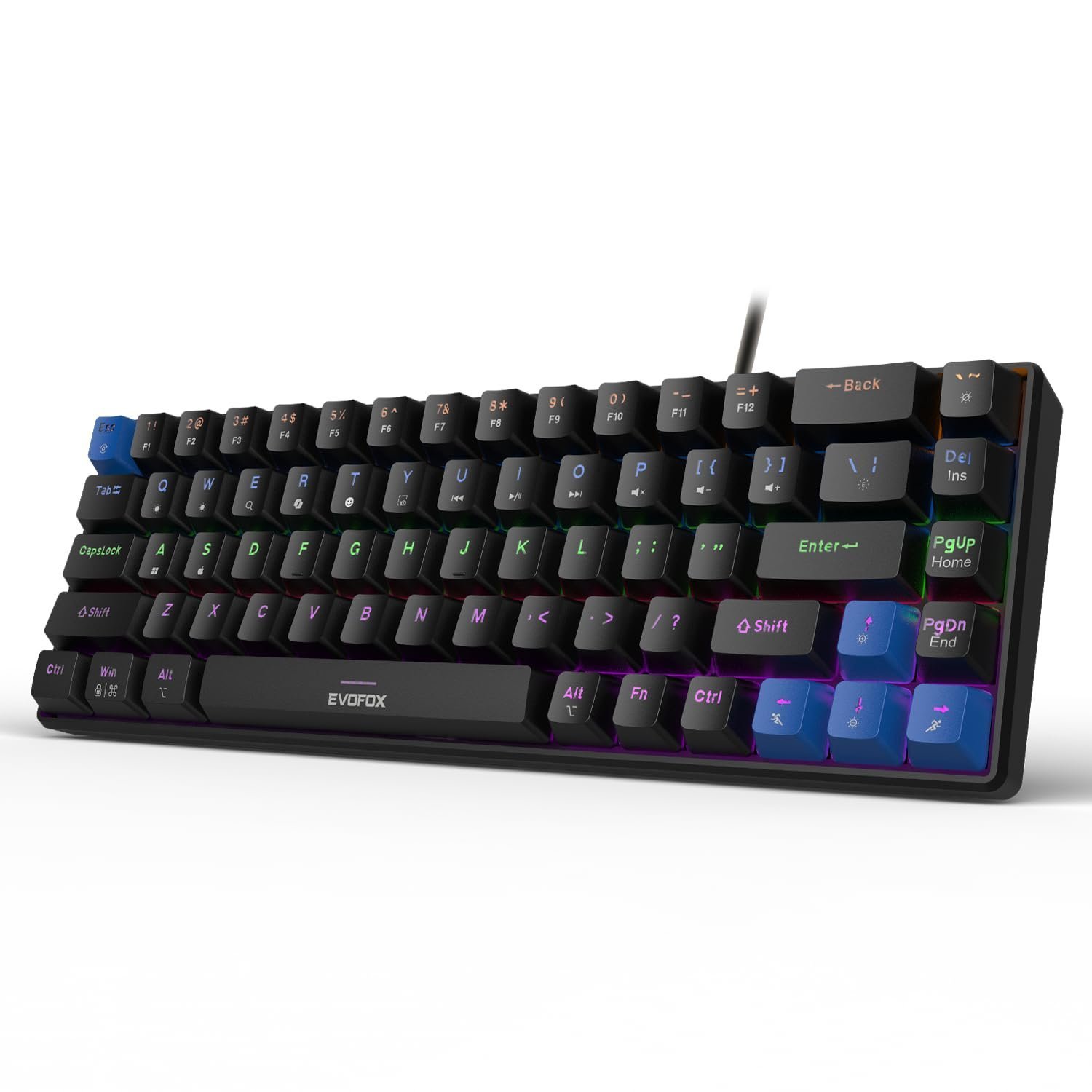 EvoFox Katana S Mini Wired Mechanical Keyboard | Hot-Swappable Silent Red Switches | 68-Key Compact Layout | Vivid Rainbow Backlighting | 1000Hz Polling Rate, All Keys Anti-Ghosting (Black)